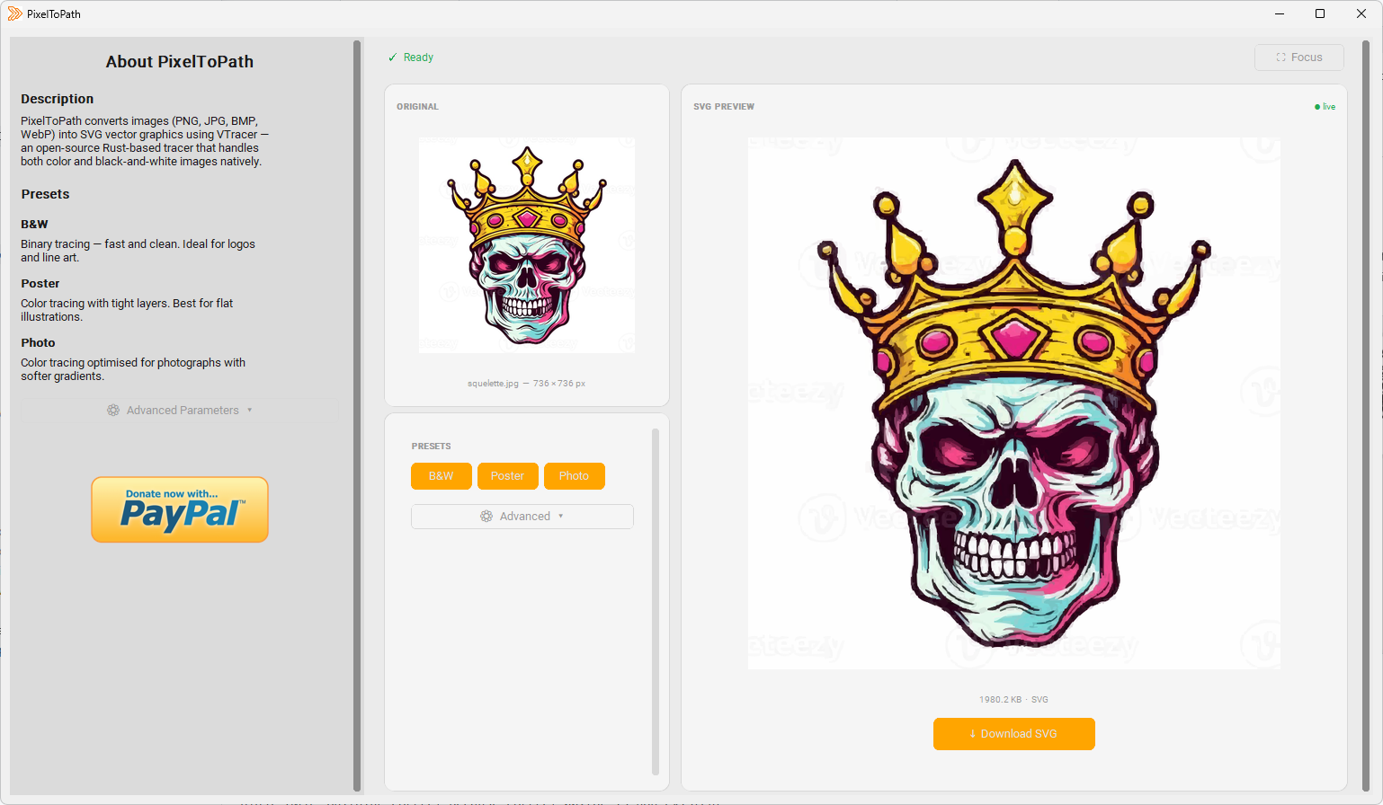 PixelToPath software interface converting an image